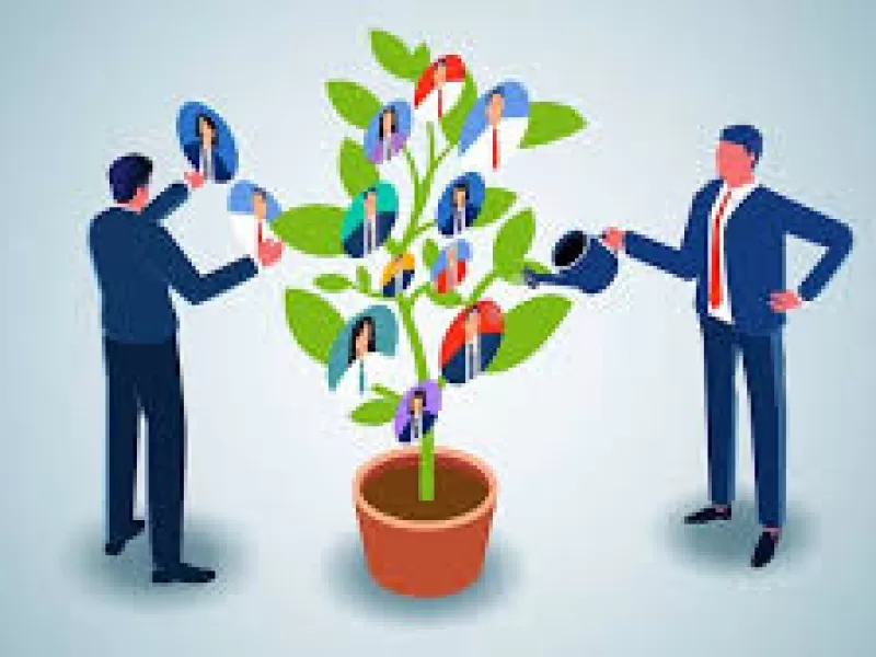 Organizational Capacity Building Program
